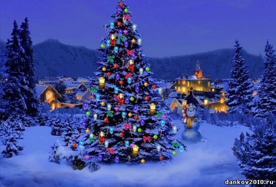 Елка в данкове 2013